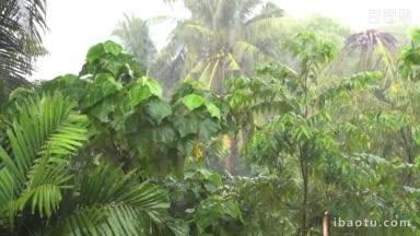 亚洲雨季的热带雨林<strong>大雨</strong>